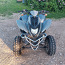 Dinli 801 300cc ATV Quad (foto #2)