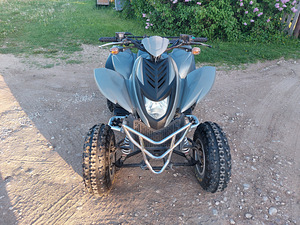 Dinli 801 300cc ATV Quad (2 foto / 9)