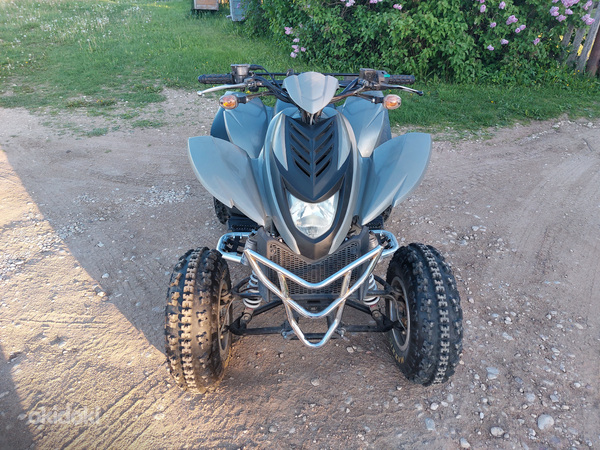 Dinli 801 300cc ATV Quad (foto #2)