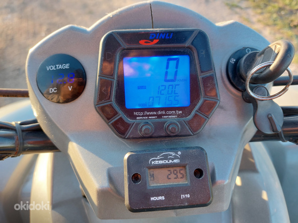 Dinli 801 300cc ATV Quad (foto #8)