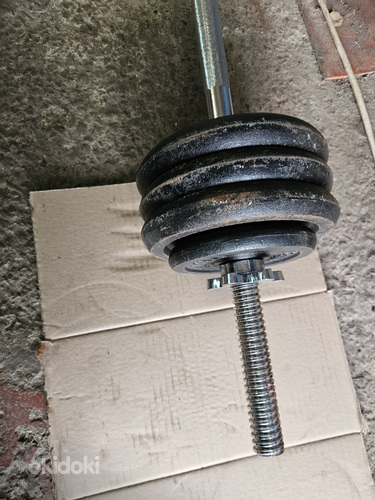 Kang 45kg