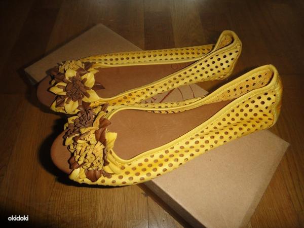 Новые туфли Bueno s.37 (фото #2)