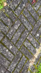 Sambla ja muru puhastamine sillutusplaatide vahedest (9 foto / 10)