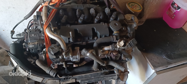Ford мотор 2.0tdci