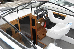 Sunbird 218 OMC COBRA 4,3 v6 (8 foto / 8)