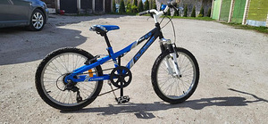 Jalgratas CLASSIC 20 (3 foto / 4)
