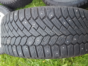 17 tollised velgedel naastrehvid (5 foto / 7)
