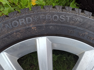 17 tollised velgedel naastrehvid (6 foto / 7)