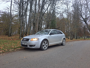 Audi A3 2.0 103kw (2 foto / 6)