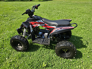 Электрический ATV 1000w (2 фото из 4)