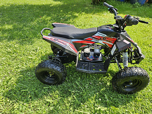 Электрический ATV 1000w (3 фото из 4)