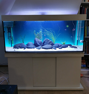 Akvaarium 250L kogu varustusega. (1 foto / 7)