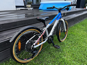 Laste jalgratas CUBE ACID 200 SL (6 foto / 6)