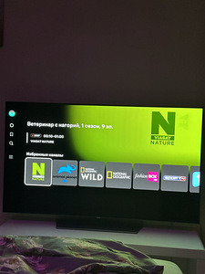 Oled LG 55 (3 foto / 9)
