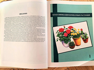 Illustreeritud toataimede entsüklopeedia (3 foto / 7)
