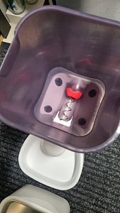 Lemmikloomade automaatne jootur ja toidu dosaator (5 foto / 5)
