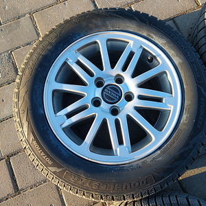 Doublestar Winterking DW08 195/65R15 91T. Шины + диски Volvo (5 фото из 6)