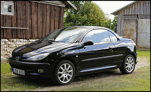 Peugeot 206cc 1.6 80kw (10 фото из 13)