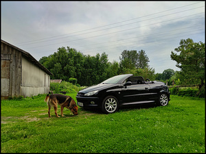 Peugeot 206cc 1.6 80kw kabriolett (1 foto / 12)