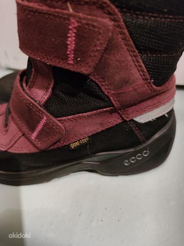Зимние ботинки ecco coretex, 32 - 33 (фото #3)