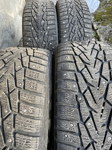 BMW veljed talverehvidega R17 225/55 (7 foto / 8)