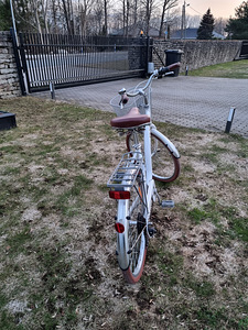 Jalgrattas (4 foto / 10)