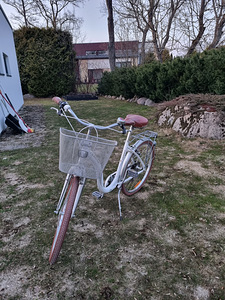 Jalgrattas (3 foto / 10)
