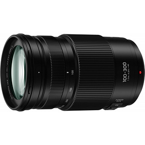 Panasonic Lumix G Vario 100-300mm f/4.0-5.6 II POWER O.I.S. (1 foto / 4)