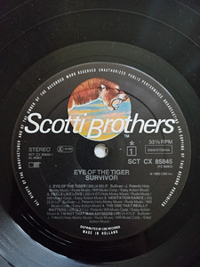 Survivor "Eye Of The Tiger" (3 foto / 4)
