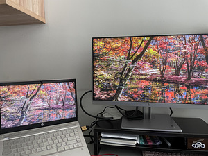 Мониторы HP 223 23' (1 фото из 3)