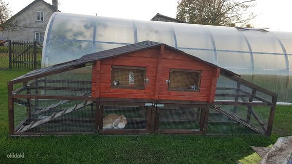 Клетка / домик для кроликов, 4 места (фото #4)