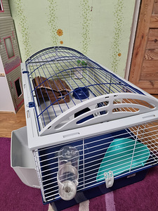 Большая клетка Ferplast Casita 100 (5 фото из 7)
