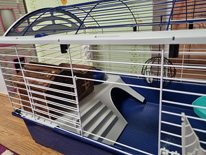 Большая клетка Ferplast Casita 100 (6 фото из 7)