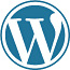 WordPress: ремонт, настройка, SEO, Google Ads (фото #1)