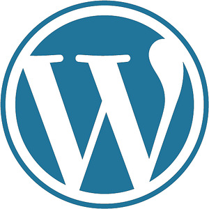 WordPress: ремонт, настройка, SEO, Google Ads