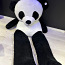 Гигантская панда (фото #1)