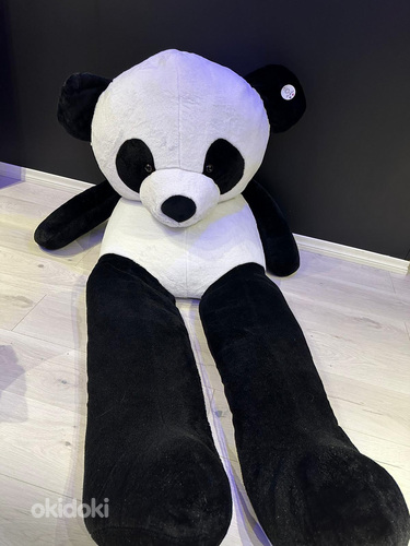 Suur Panda (foto #1)