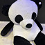 Гигантская панда (фото #2)