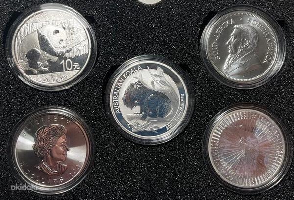 Коллекция монет (фото #2)