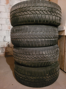 Ford mondeo talverehvid plekkvelgedega 205/55 r16 (1 foto / 3)