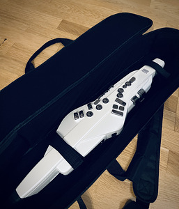 Roland Aerophone AE-20W (1 фото из 2)