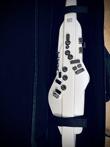 Roland Aerophone AE-20W (2 фото из 2)