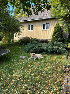 Sooja tee 15, Viti, Harku vald, Harjumaa (1 foto / 15)