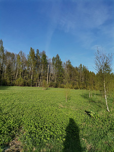 Elamumaa Vikipalu 1ha (4 foto / 4)