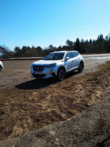 Peugeot 2008 (4 foto / 12)