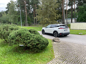 Peugeot 2008 (6 foto / 12)