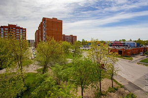 Квартира в аренду (1 фото из 12)