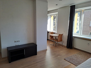 Raua tn 24, Kesklinn, Tallinn, Harjumaa (7 foto / 12)