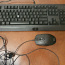 Клавиатура Razer Cynosa и мышь Logitech G PRO Gaming (фото #1)