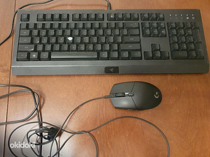 Razer Cynosa klaviatuur ja Logitech G PRO Gaming hiir